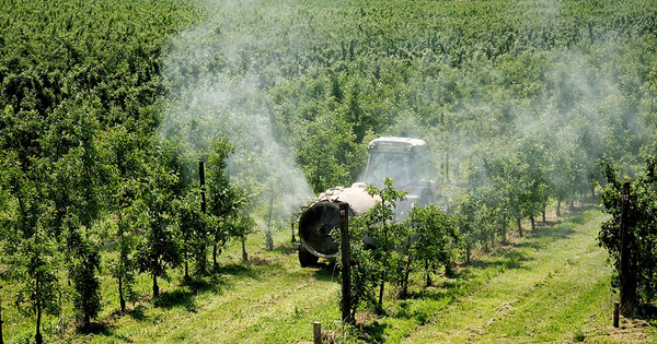 Pollution de l'air�: vers de premi�res mesures dans le secteur agricole