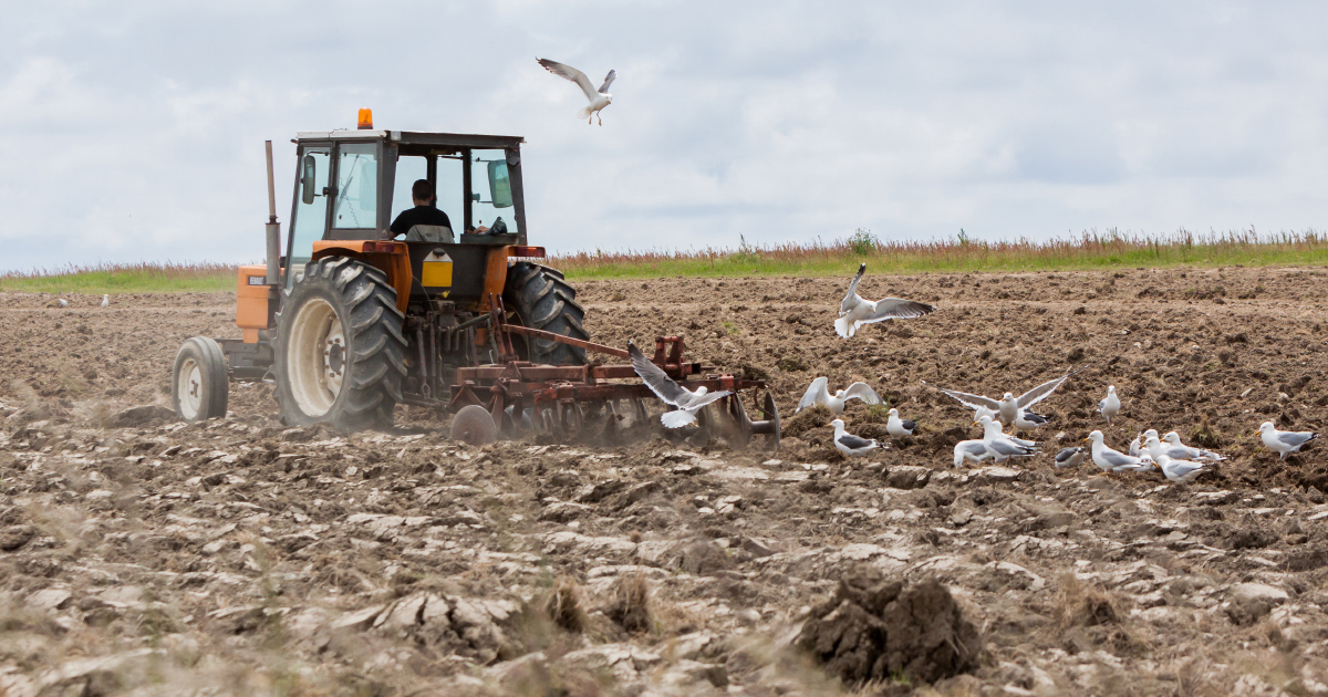 Pourquoi les agriculteurs n'arrivent pas à réduire leurs émissions de GES