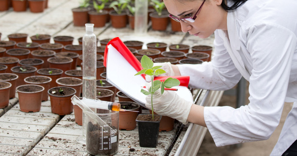 L'Europe souhaite am�liorer la transparence autour de l'autorisation des pesticides