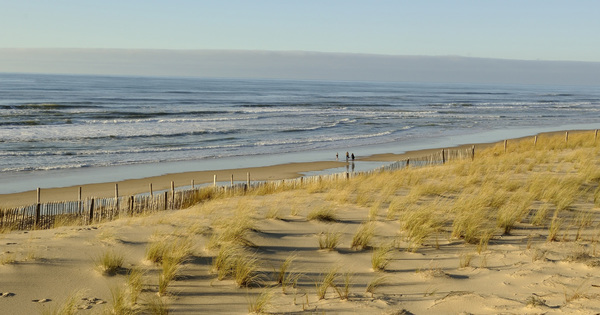 Recul du trait de c�te�: les dunes sont la protection la moins co�teuse et la plus efficace � long terme