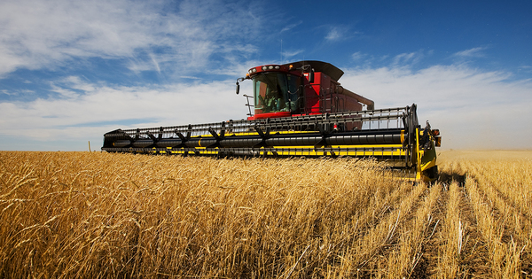 Transition agricole�: les fili�res peinent � se mettre en marche