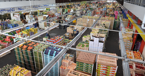 Loi agriculture�: les avanc�es, les reculs et les questions en suspens