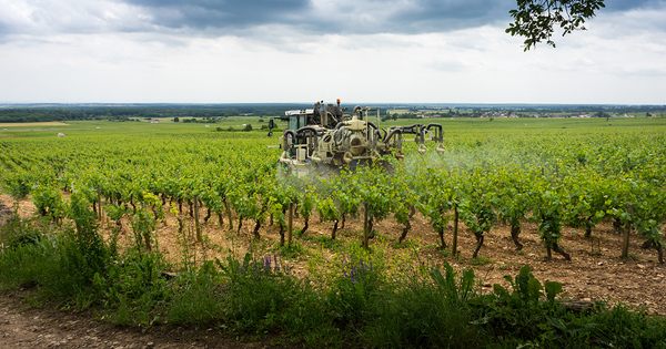 Pourquoi les agriculteurs ont tant de mal � l�cher les phyto
