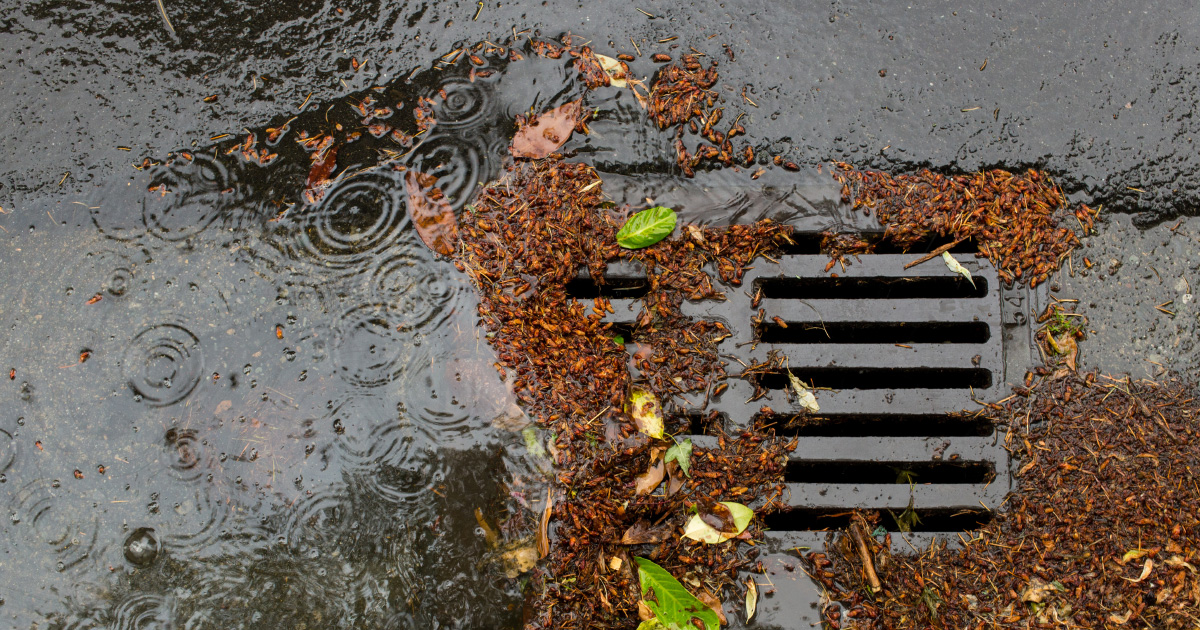 Comptences eau et assainissement: les dputs reviennent sur la gestion des eaux pluviales