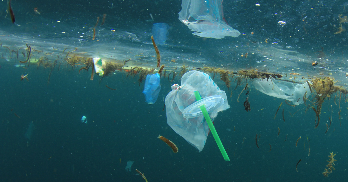 "En marche" contre les plastiques inutiles