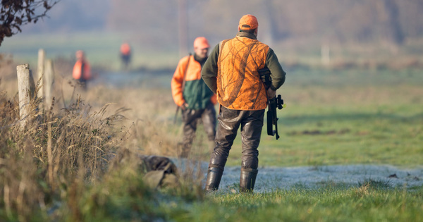 Réforme de la chasse : le malentendu sur la gestion adaptative des espèces