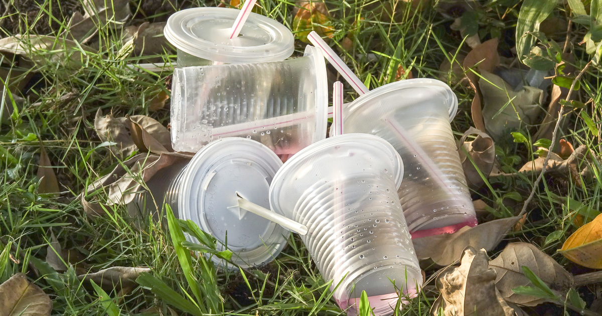 Plastique jetable: les industriels confrontés à une multiplication des  interdictions