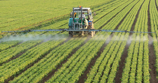 Adoption de la loi agriculture�: le recours aux phytosanitaires sera davantage encadr�