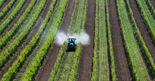 Autorisation des pesticides: le Parlement europen veut une volution de la rglementation