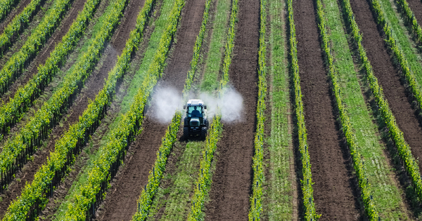 Autorisation des pesticides�: le Parlement europ�en veut une �volution de la r�glementation