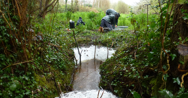 Pollutions accidentelles des eaux�: les chiffres � conna�tre