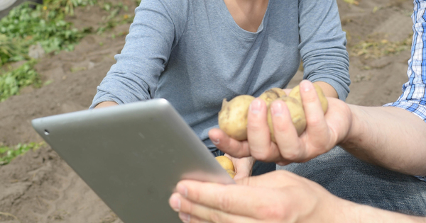 Phytosanitaires�: le projet de s�paration de la vente et du conseil en consultation