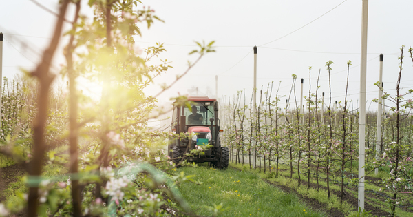 Produits phytosanitaires�: la recherche s'organise