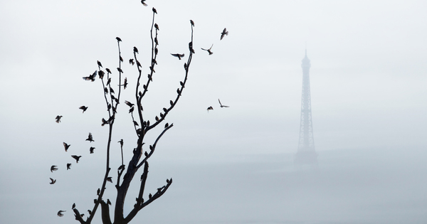 La qualit� de l'air urbain s'am�liore peu car les �missions r�elles restent importantes