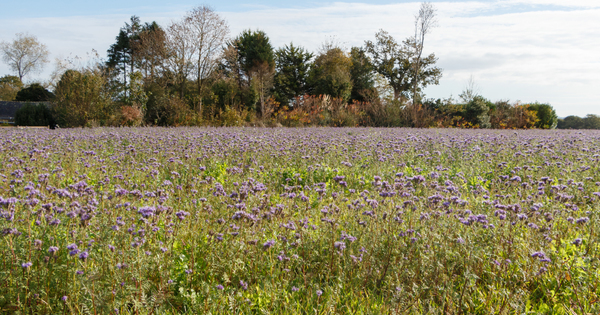 Les agriculteurs fran�ais se lancent dans les paiements pour services environnementaux