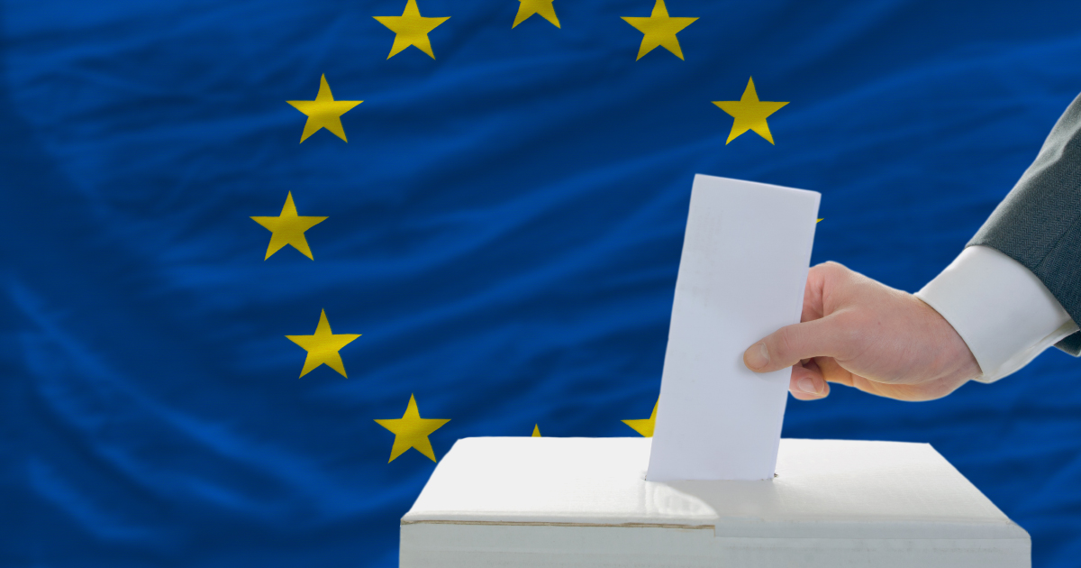 Elections européennes : ce que proposent les listes en matière d'environnement 