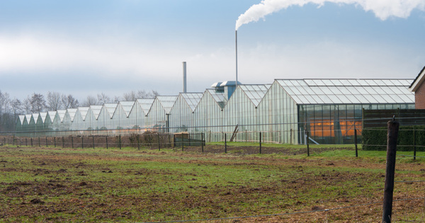 Agriculture bio�: �a chauffe au sujet des serres