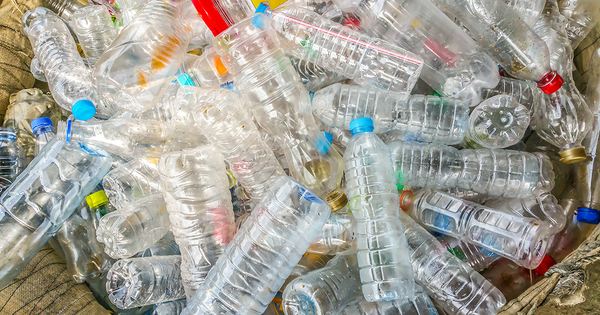 Consigne des bouteilles plastique: le secteur des boissons et Citeo prennent les devants