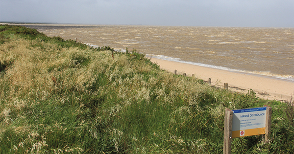 La gestion souple du trait de c�te comme r�ponse aux changements climatiques