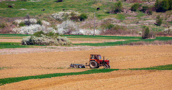 Un an apr�s, qu'a fait le gouvernement de son plan biodiversit�?