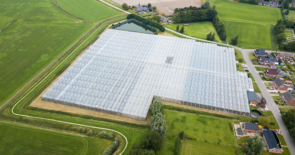 Photovoltaque et agriculture: le dploiement se rvle plus facile sur serres