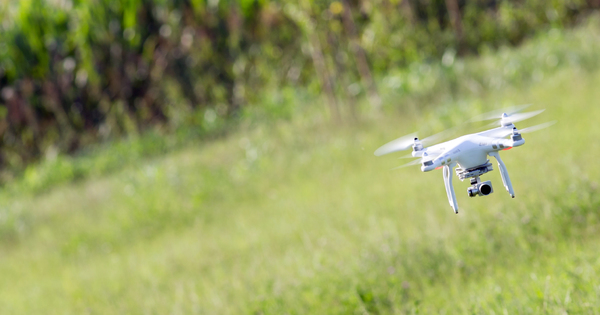 Traitements phytosanitaires par drone: le dtail de l'exprimentation 