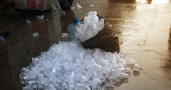 Loi conomie circulaire: les dputs adoptent des mesures de rduction des plastiques jetables