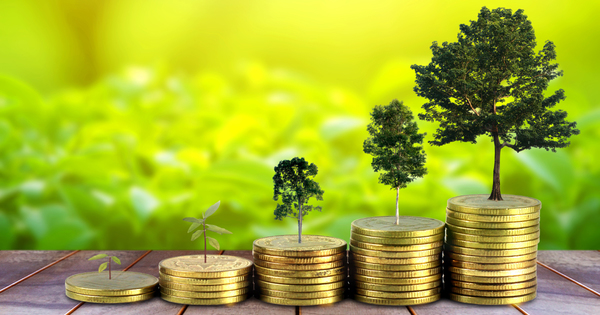 Loi de finances pour 2020�: ce qui a �t� vot� en mati�re d&acute;environnement