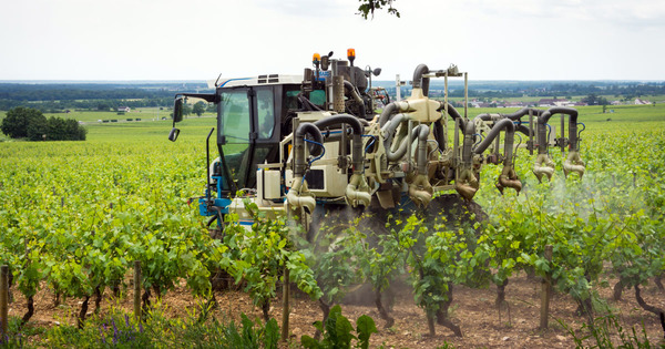 Sortie du glyphosate�: un impact de 5�% sur la rentabilit� des exploitations viticoles