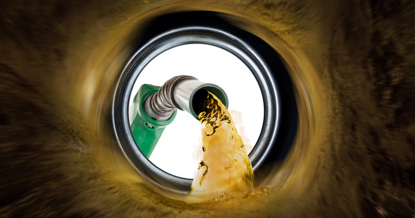 Agrocarburants�: la mission d'information de l'Assembl�e nationale veut booster la fili�re