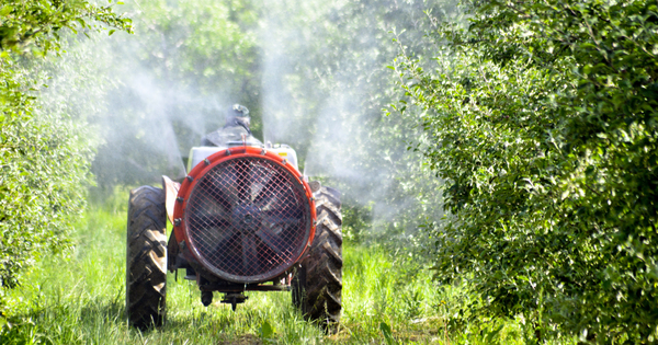 Rduction des pesticides: la PAC n'est pas assez contraignante, estime la Cour des comptes europenne
