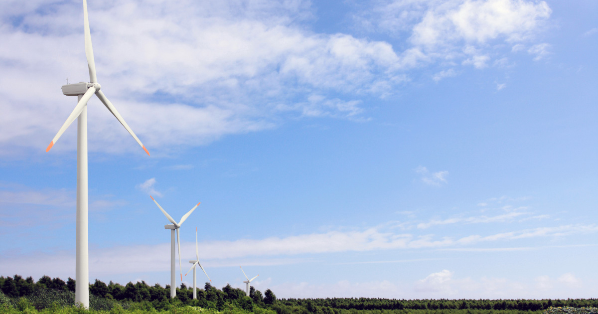 Éolien : la FEE et le SER unis pour obtenir plus de cohérence entre objectifs nationaux et moyens alloués