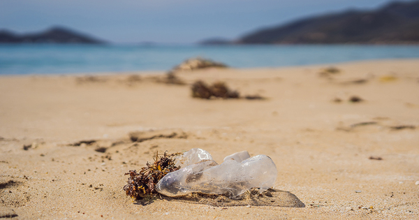 D�chets sur les plages�: l'Union europ�enne en veut moins de 20 tous les 100 m�tres