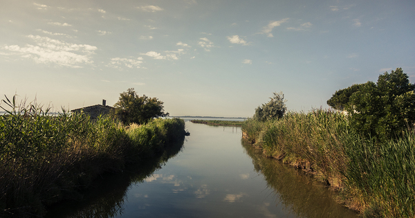 Un nouvel indicateur pour �valuer l'effet cumul� des pesticides dans les lagunes