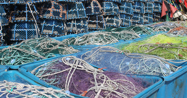 Les activit�s de p�che et d'aquaculture g�n�rent 4 600 tonnes de d�chets plastique par an