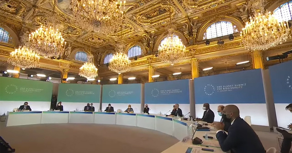 Biodiversit� et climat�: Emmanuel Macron � la relance