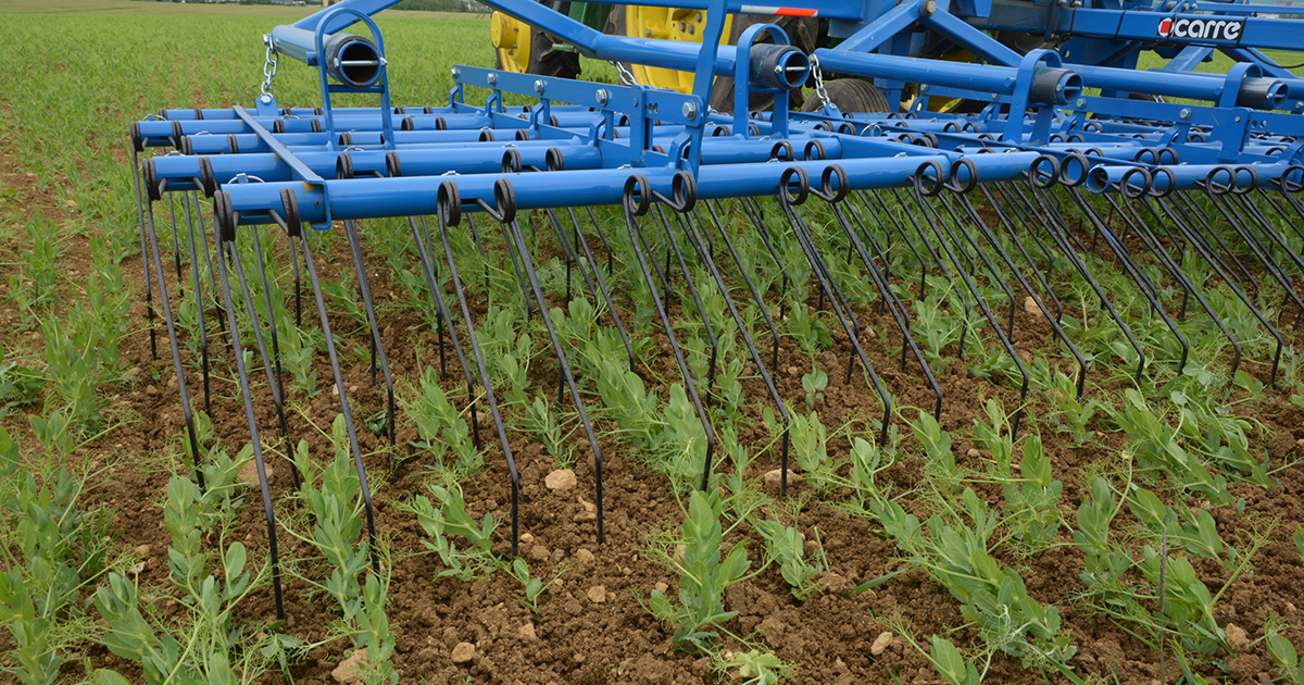 Réduction des phytosanitaires : comment valoriser les bons résultats des fermes Dephy