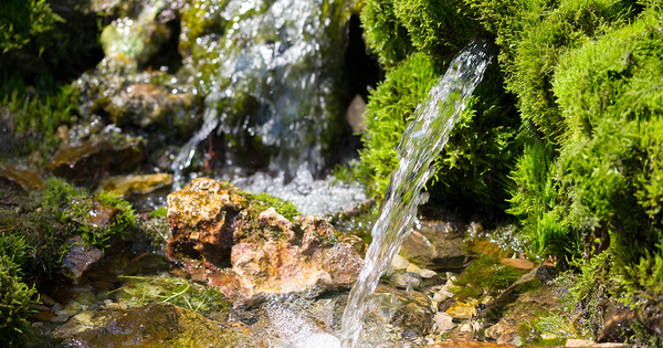 La juste valeur de l'eau�: une d�finition � r�alit�s multiples