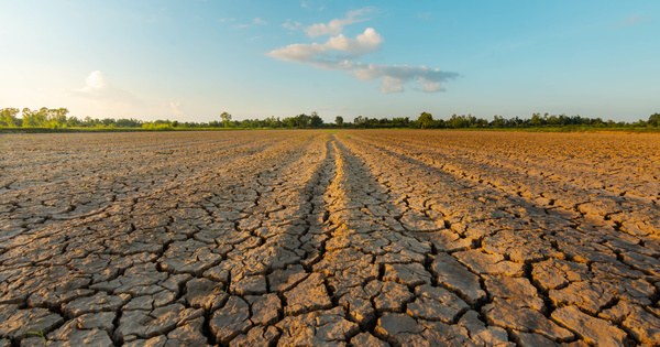 Tension sur l'eau�: le minist�re de l'Agriculture souhaite une gestion d�centralis�e lors de s�cheresse