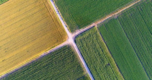 Une nouvelle politique agricole commune aux ambitions limit�es