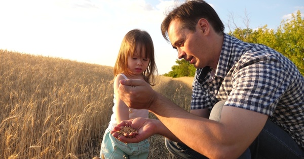 Pesticides et sant�: de nouveaux liens �tablis chez les agriculteurs et leurs enfants