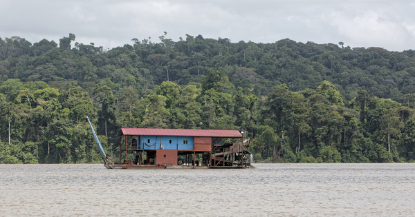 44 propositions pour limiter l'orpaillage ill�gal en Guyane