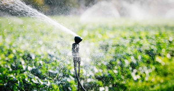 Eau agricole�: la Cour des comptes europ�enne remet en question les politiques de l'UE