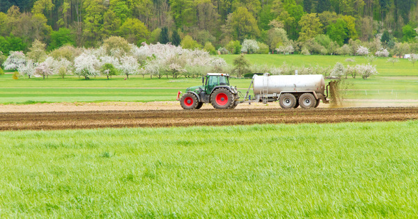 Nitrates�: l'Autorit� environnementale souligne le manque d'ambition du nouveau plan national
