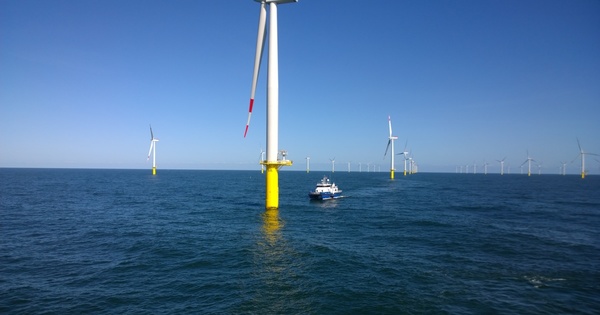 Éolien offshore : les cinq leviers que propose la filière pour atteindre 50 GW en 2050