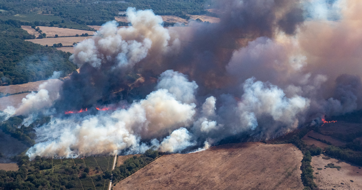 Prévention des feux de forêts : débroussaillement et maîtrise de l'urbanisation diffuse s'imposent