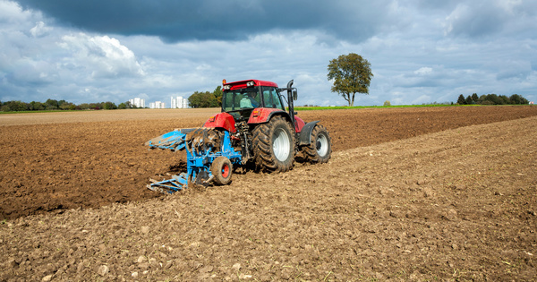 Quand les terres agricoles disparaissent, le mod�le conventionnel gagne du terrain