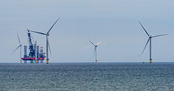 Éoliennes offshore : un virage à prendre d'urgence pour une filière française encore en devenir