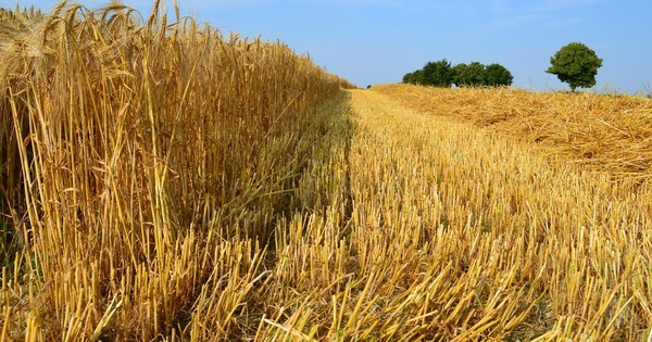 � nouveau gouvernement, nouveau plan strat�gique pour l'agriculture�?
