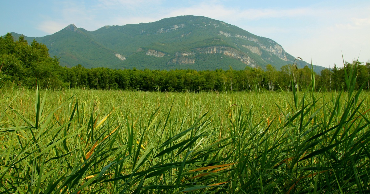 Sites Natura 2000 : un projet de décret propose d'encadrer l'usage des pesticides par arrêté préfectoral